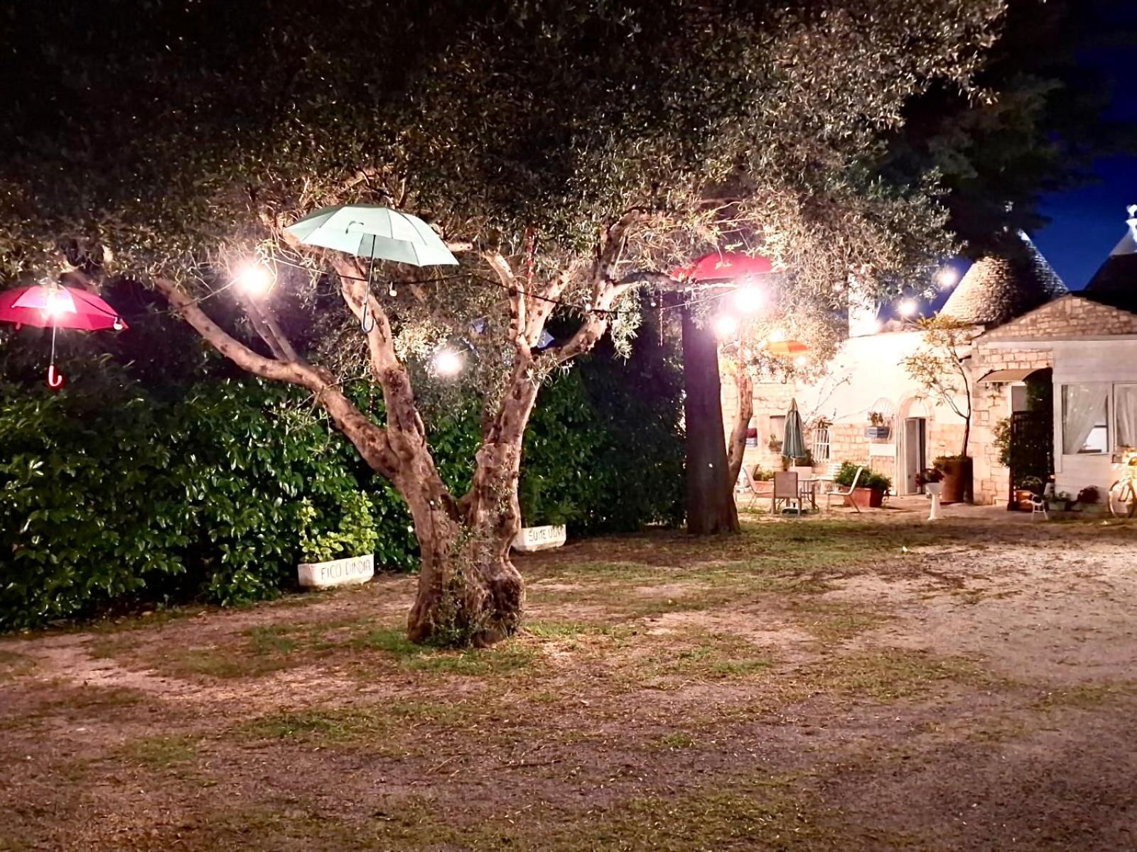 Mirella Charming Bed and Breakfast Alberobello Eksteriør billede